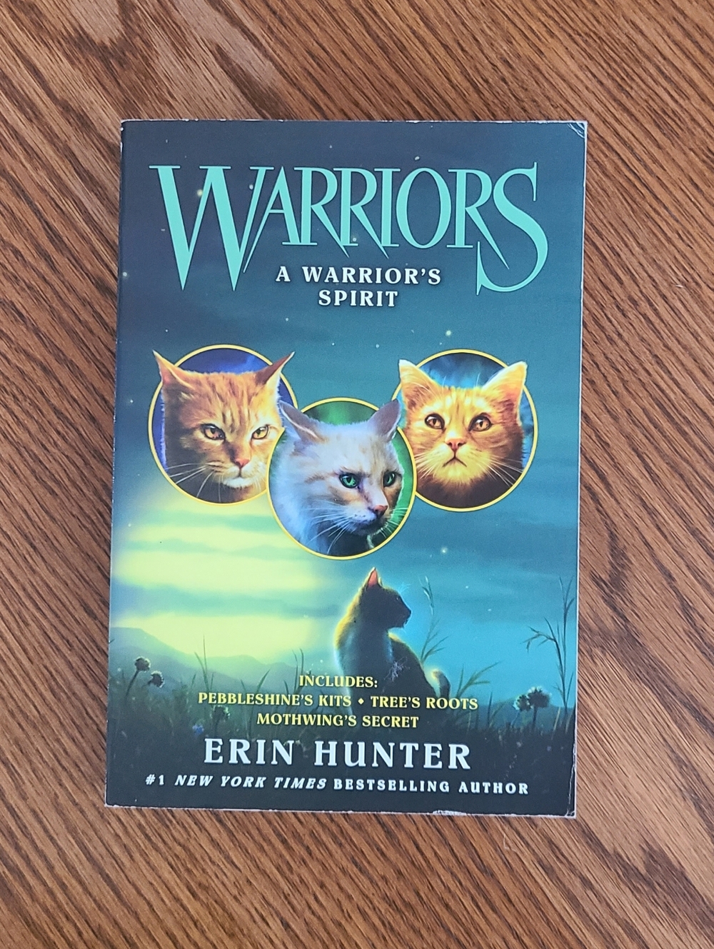 Warriors: A Warrior's Spirit Book MWT